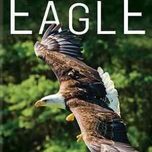 Nature-american Eagle (2016) Dvd - Image 1