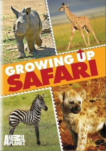 Growing Up Safari (dvd/ff)-nla