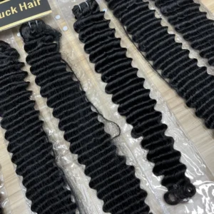 GL High Quality Raw Vietnamese Burmese Hair Unprocessed Raw Hair Vietnamese Burmese Curly 100% Raw Human Hair Bundles - Image 1