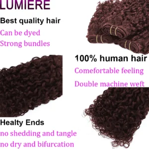 Hot Selling 12A Super Double Drawn Pixie Curl Hair Bundles Virgin Cuticle Aligned Funmi Hair SDD Brazilian Human Hair Extension - Image 5