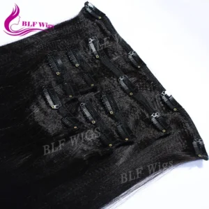 Cuticle Aligned Natural Black Remy Human Clip in Hair Extensions 100% Human Hair - Image 1