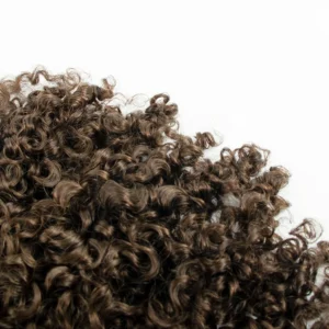 Bounce Curls Clip in Hair Top Grade Invisible Natural Virgin Wavy Curly Coily Clip in Human Hair Extensions - Image 2